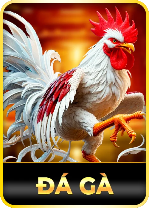 ĐÁ GÀ