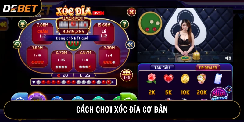 Cách chơi xóc đĩa cơ bản, dễ hiểu cho tất cả tân binh