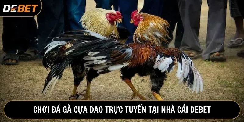 Debet cập nhật hàng ngàn trận trực tiếp cực gay cấn mỗi tháng