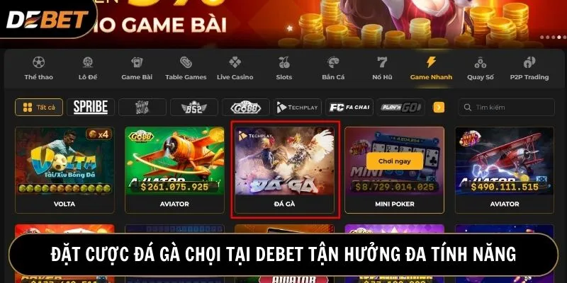 Nếu bạn am hiểu bộ môn đá gà đừng bỏ qua việc đặt cược kiếm tiền